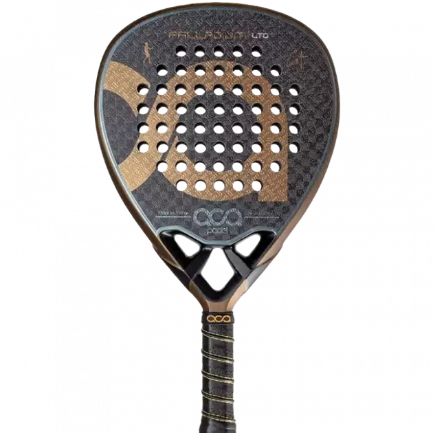 aca-agustin-torre-palladium-gold-ltd