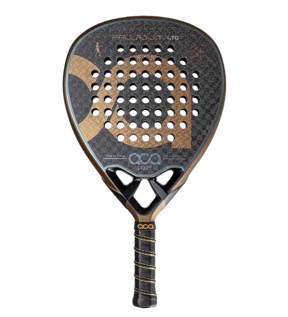 aca-agustin-torre-palladium-gold-ltd